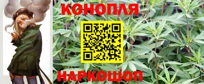 ALPHA PVP Ставрополь